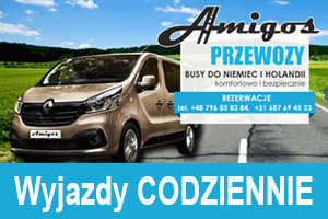 www.AmigosPrzewozy.pl